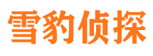 茶陵找人公司